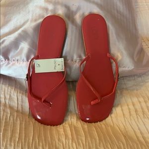 NWT Ann Taylor Loft Pink Flip Flops